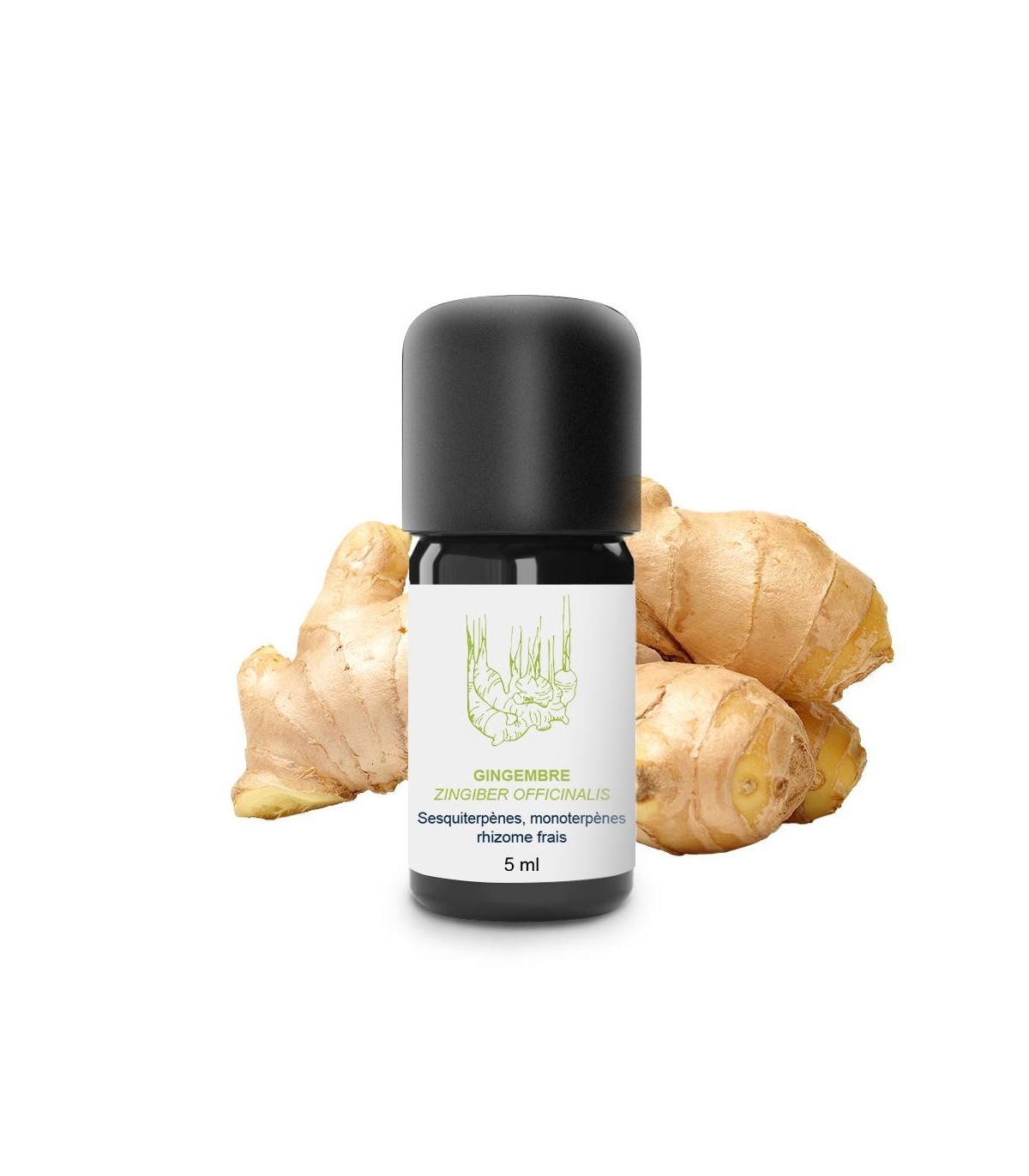 Organic and artisanal ginger essential oil Essenciagua