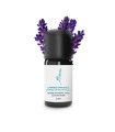 Organic and artisanal bolpoon lavender essential oil | Essenciagua