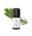 Organic and artisanal maritime pine essential oil | Essenciagua