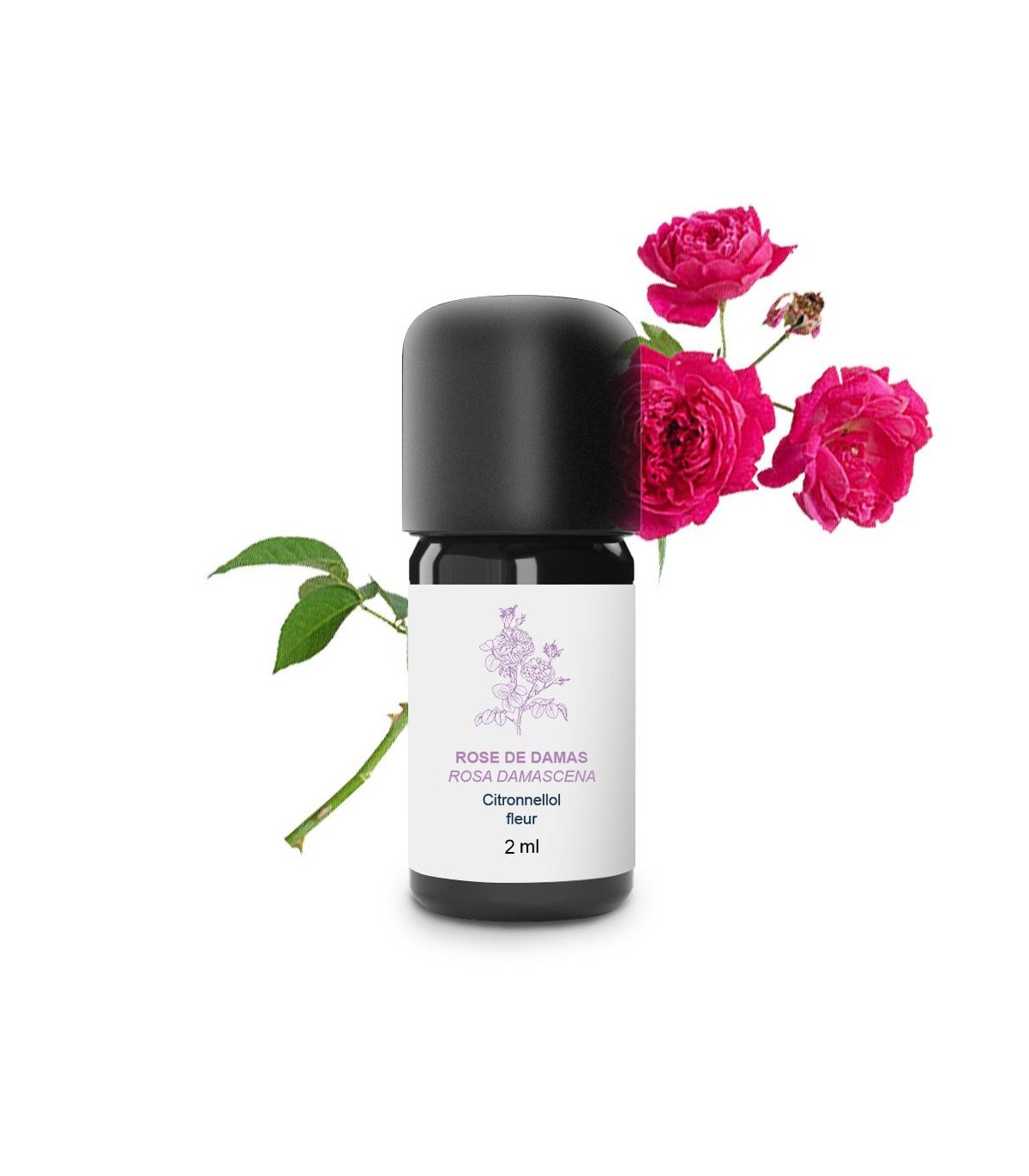 Organic Damascus pink floral elixir 30 ml – TinaVie inc.