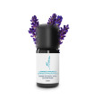 Organic and artisanal Lavender Officinale essential oil (True Lavender