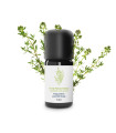 Organic & artisanal Thyme paracymene (common thyme) Essential Oil