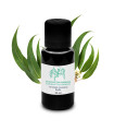 Huile Essentielle Eucalyptus radié (Eucalyptus radiata) bio & artisanal