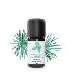 Essential Oil Cedar from Atlas