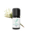 Tea Tree essential oil/Organic and artisanal tea tree