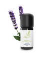 Organic and craft patchouli essential oil | Essenciagua