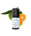 Organic and craft mandarin essential oil | Essenciagua