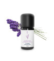 Organic and artisanal Lavender Aspic essential oil