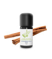 Essential Oil Cinnamon (Bark)