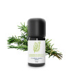 Essential Oil Rosemary from Pays d'Oc