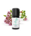 Organic & artisanal Oregano Essential Oil