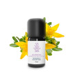 Essential Oil Thousandpertuis