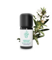 Essential Oil Sariette of the mountains from Quercy