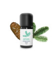 Organic and artisanal Giant Fir (Abies grandis) essential oil