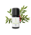 Essential Oil Lentisque pistachier