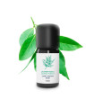 Noble laurel essential oil