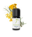 Organic and artisanal Helichrysum (Immortelle) essential oil