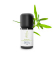 Enragon essential oil