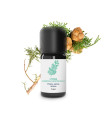 Essential Oil Cypress always green