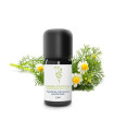 Matrical chamomile essential oil