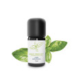 Essential Oil Basil