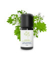 Essential Oil Coriander (Seeds)