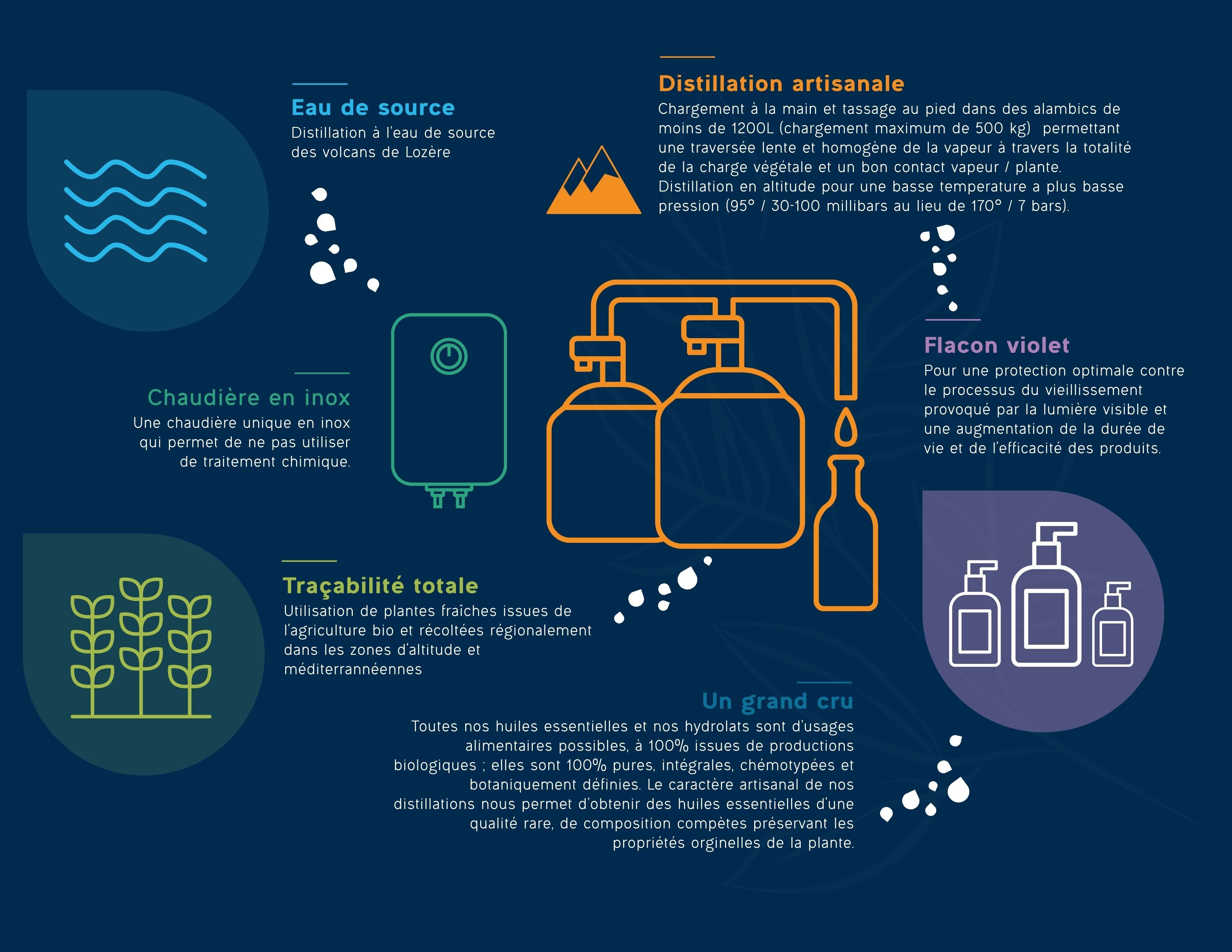 Propriétés et bienfaits de l'hydrolat de Romarin Bio - Laboratoires Roig