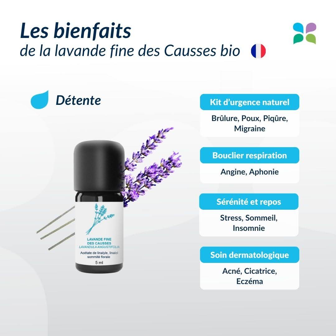 Lavandin Abrial vs. Fine Lavender from the Causses