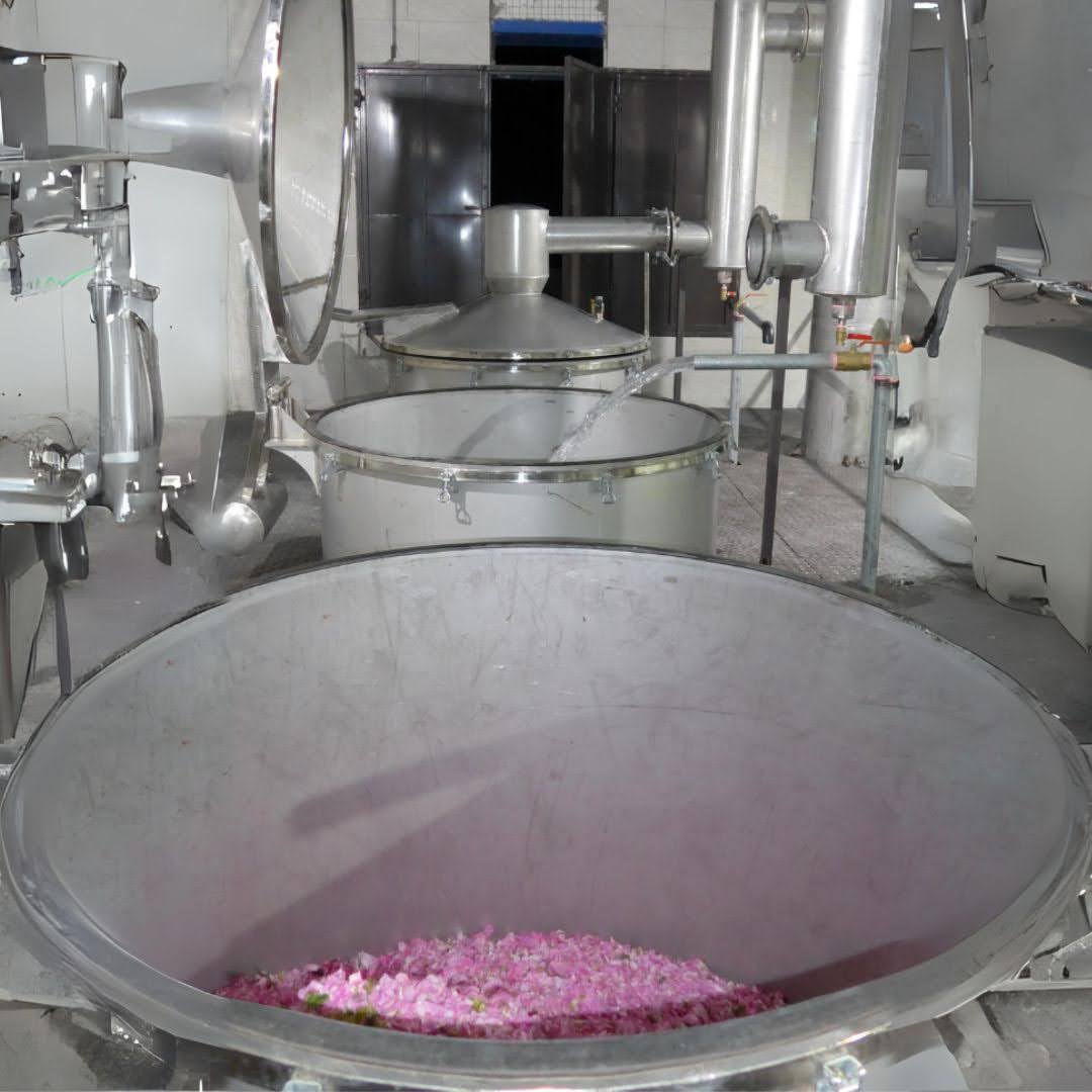 Notre producteur de Rose en Iran