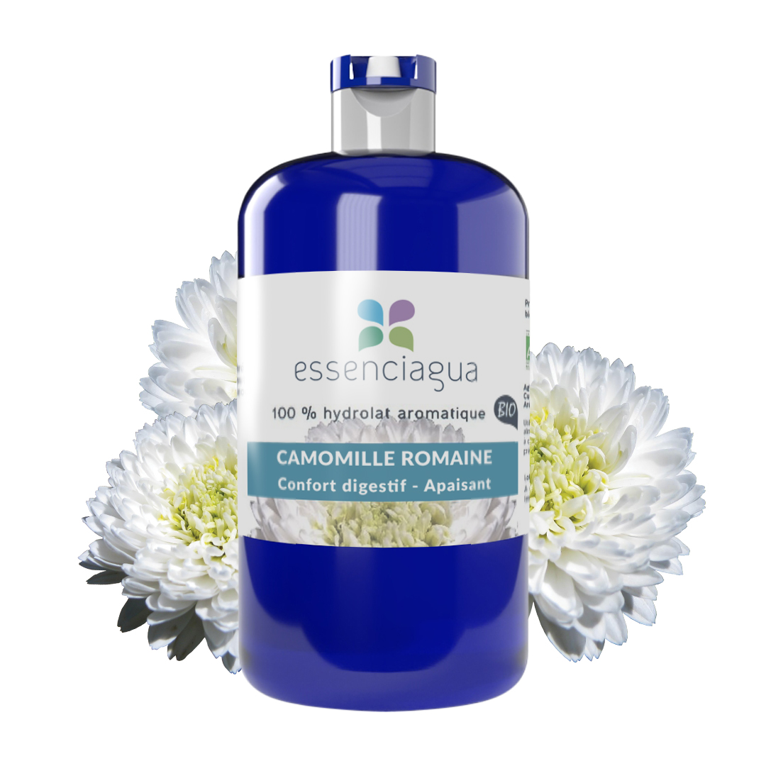 Hydrolat de Camomille romaine 100% Bio et Artisanal