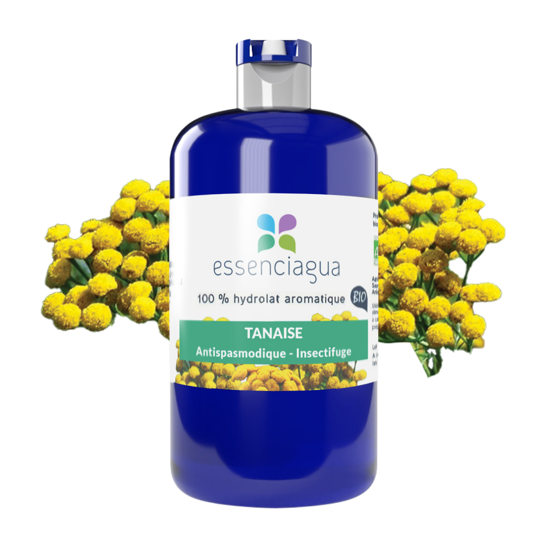 Hydrolat de Tanaisie