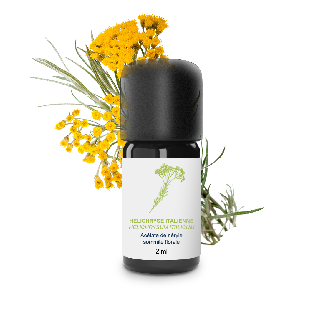 Italian Helichryse essential oil