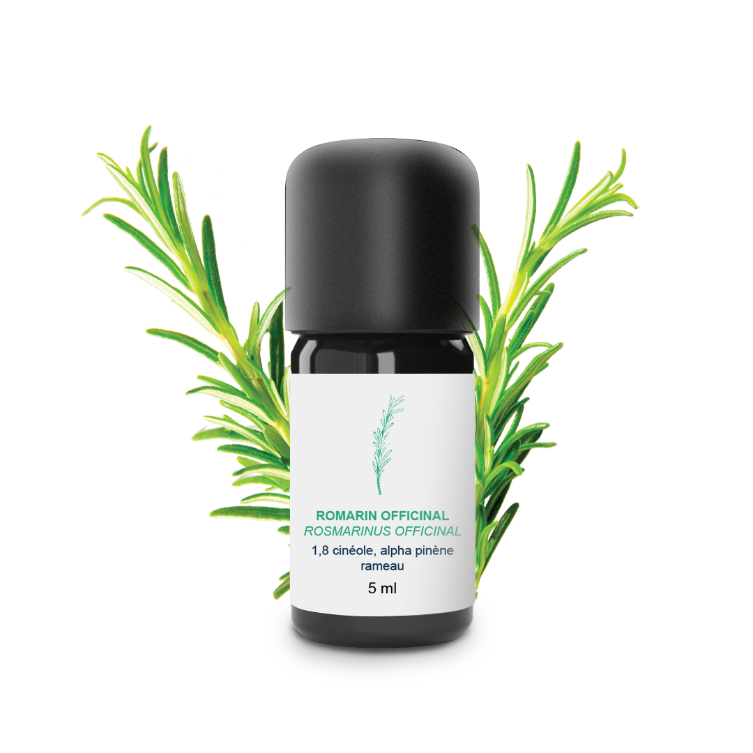 Essential Oil Officinal Rosemary